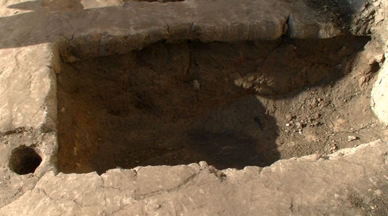Trench at rear of site that held the remains of a complete baby cow. 