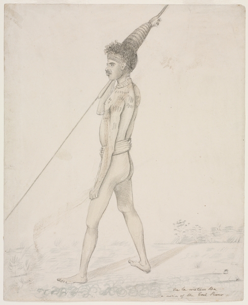 Ca la watum Ba a native of the Coal River [1810-1822]. Shows hair adornment.