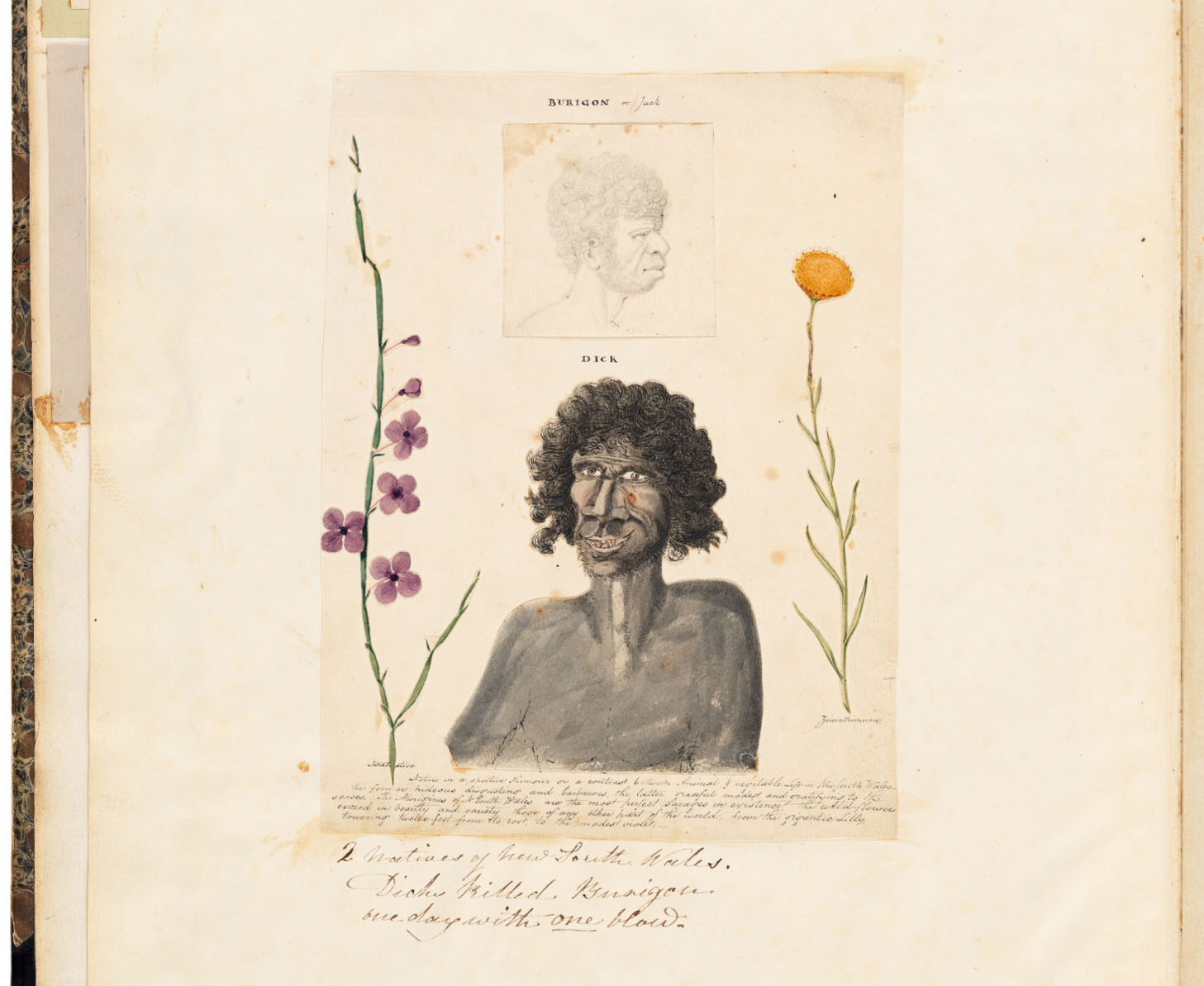 Burigon or Jack and Dick, from the Wallis Album (Courtesy of the State Library of NSW)