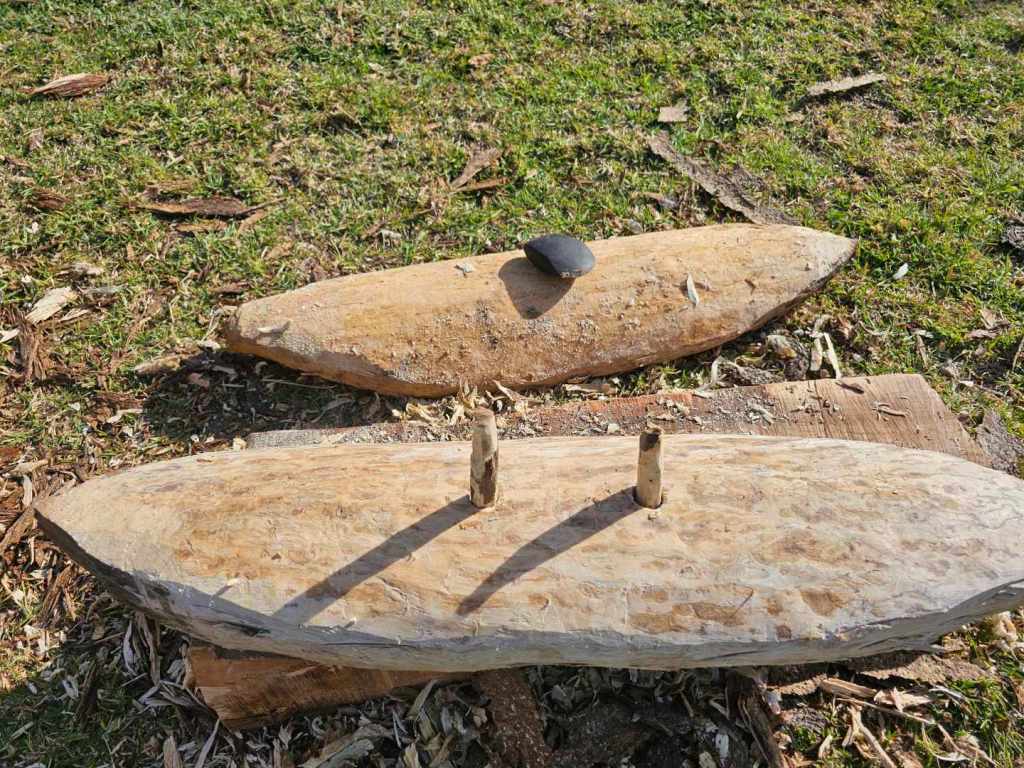 Shield made from mangrove timber from Port Stephens NSW, June 2024