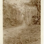 "View on Kaba Kaul - Bitapaka Road, looking towards site of first Trench"