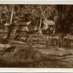 "Graves in Cemetery at Herbertshohe. From Left to Right:- A.B. Williams, (Died of Malaria), A.B. Street, A.B. Williams, Capt. Pockley (Killed in action, 11/9/14)"