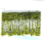 Roundhouse by Ilion George