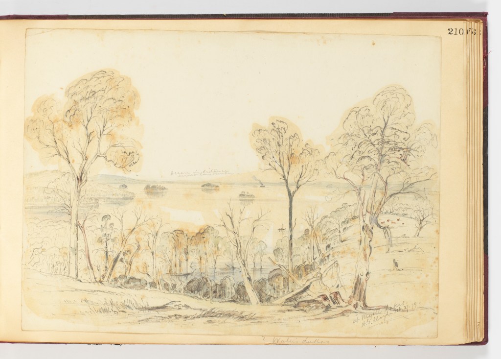27 February 1879 f.210 At Myall Lakes by H.G. Lloyd (Courtesy of Dixon Library, SLNSW)