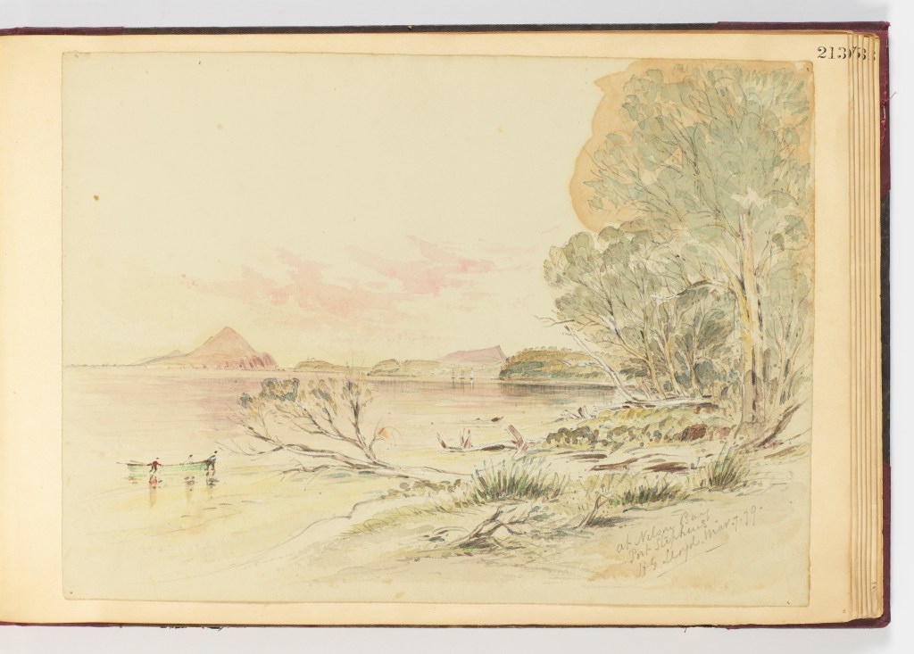7th March 1879 f.213 At Nelson Bay Port Stephens by H.G. Lloyd (Courtesy of Dixon Library, SLNSW)