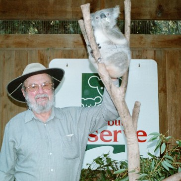Stan Masterson with Koala, 2001 (Courtesy Box C4314 Stan Masterson Collection University of Newcastle)