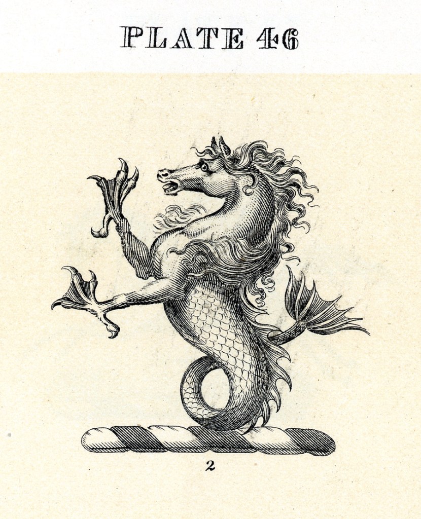 Original Inspiration for the Seahorse Motif