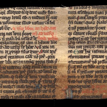 Fragment of Peter Lombard's Libri Quattuor Sententiarum Book 2 Distinction VII Recto