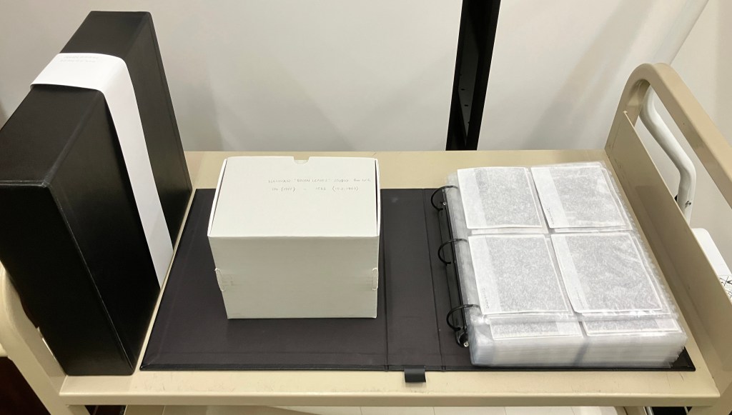 Hannan Negatives after Conservation and Re-Housing