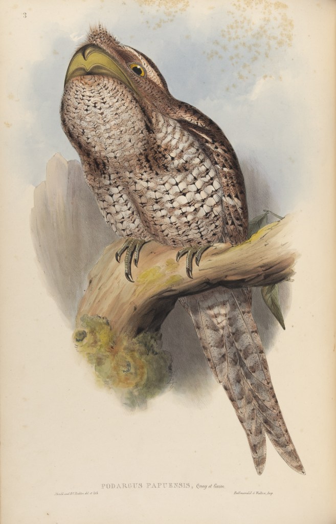 The Birds of Australia: in seven volumes 05Year Published: 1848