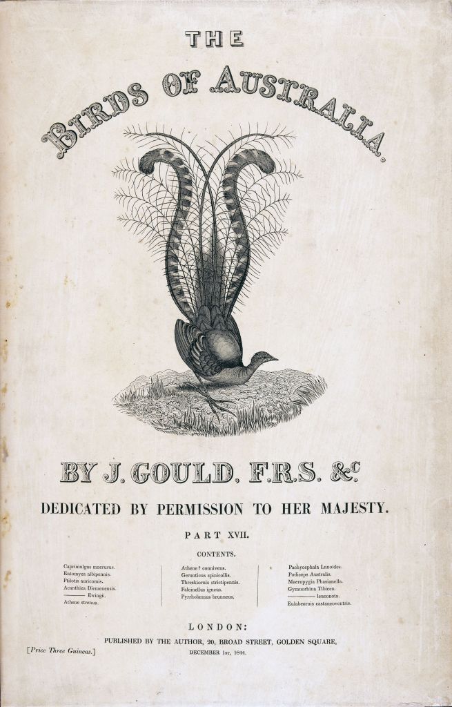 The Birds of Australia, Volume 01 / John Gould, 1848