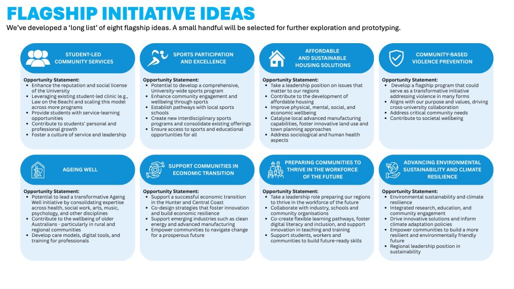 Flagship Initiative Ideas
