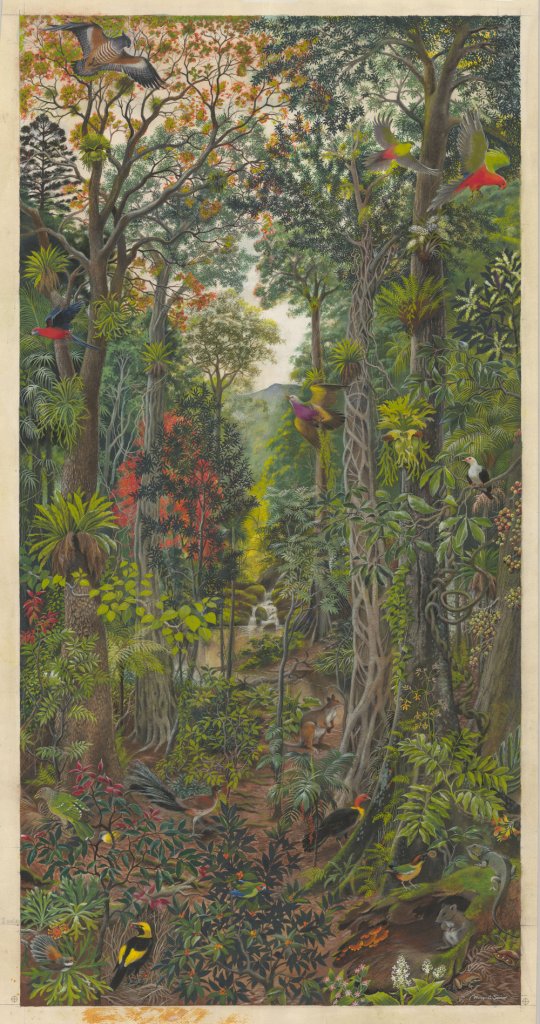 Margaret Senior, a masterpiece of natural history scientific illustration and inspirer for the Natural History Illustration Course. (MS2557) https://livinghistories.newcastle.edu.au/nodes/view/73700 