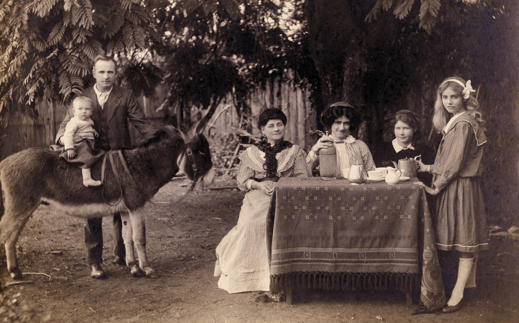 The Morrison family, Singleton, NSW, [1900]