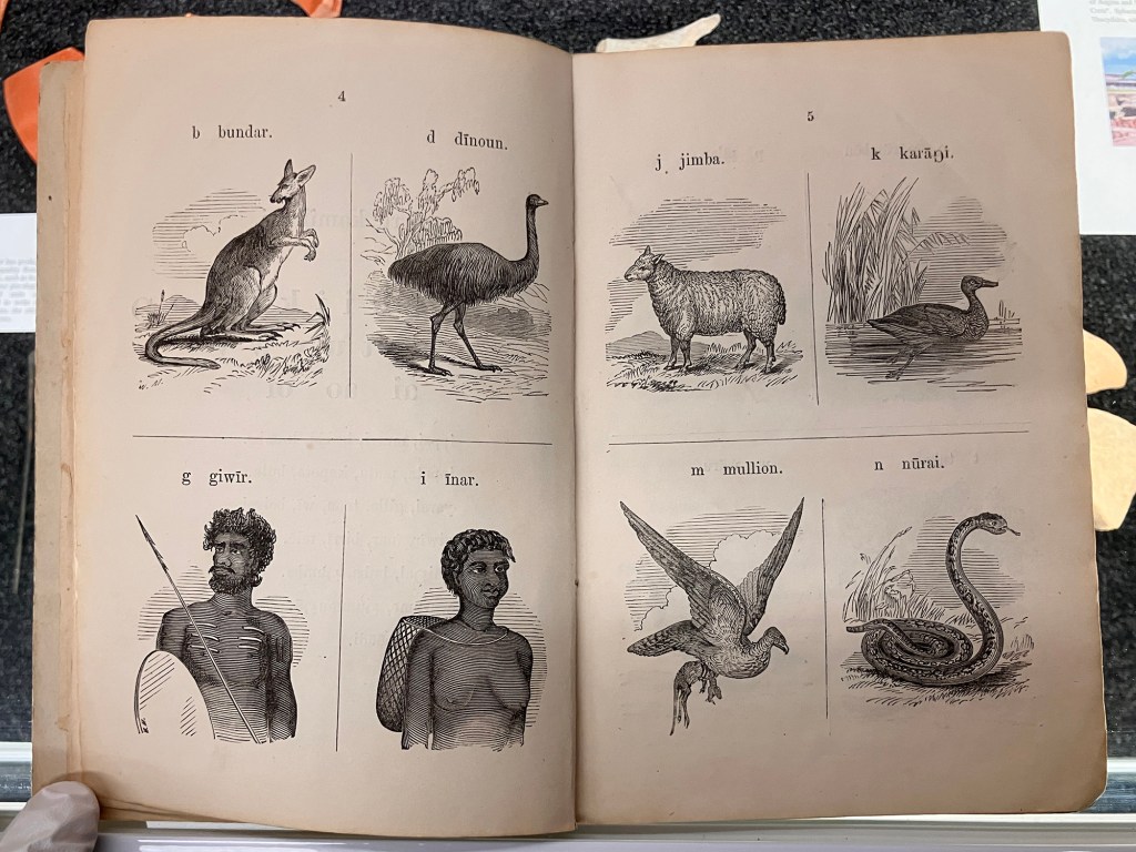 Gurre Kamilaroi (1856)