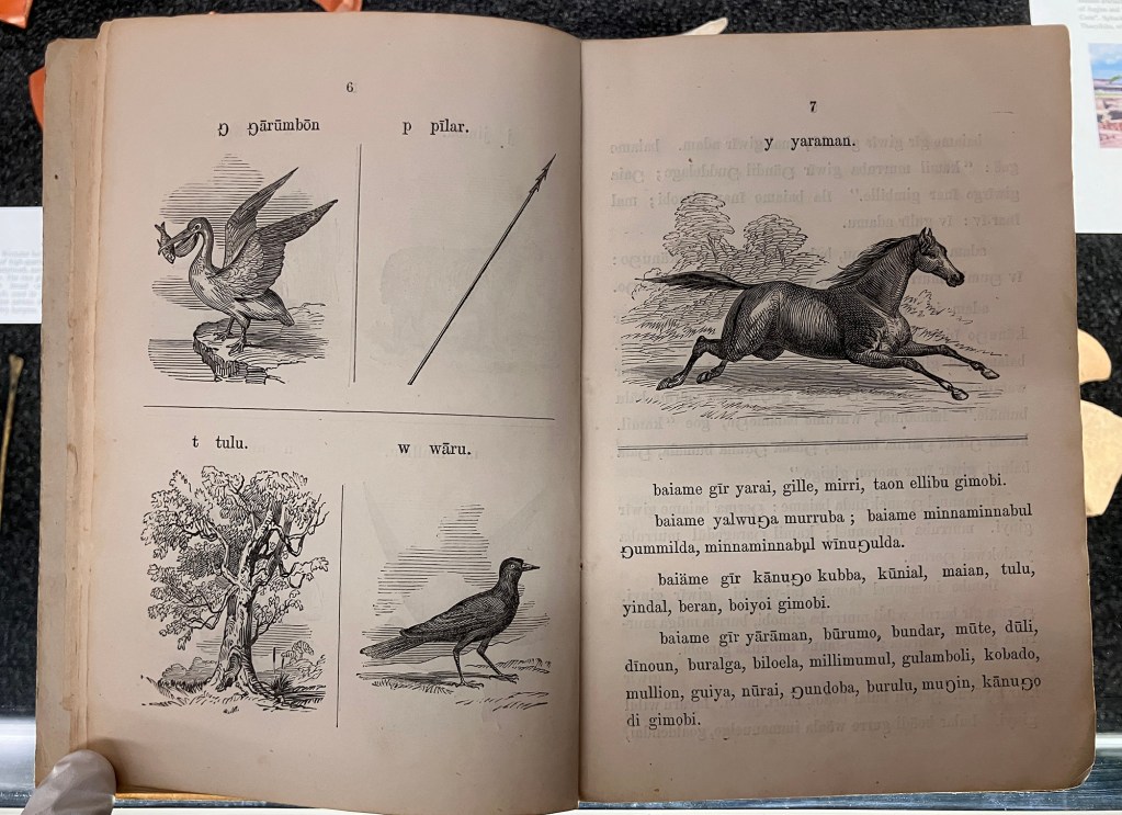 Gurre Kamilaroi (1856)