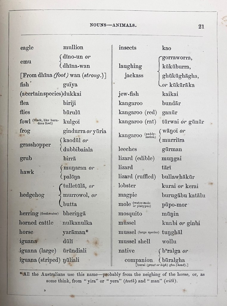 Kamilaroi word for "fish" = "guiya"